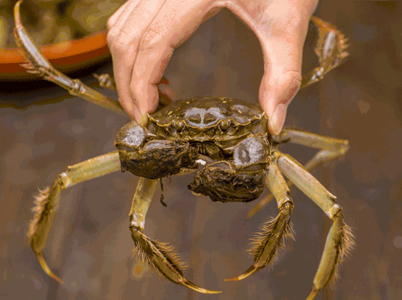 五重劲爆好礼迎国庆,购房首选洋丰地产!