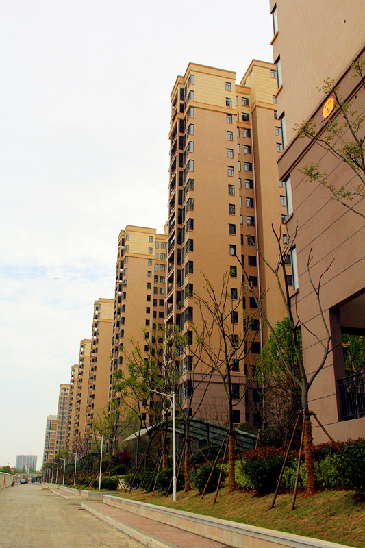 洋丰嘉园最美人间四月天