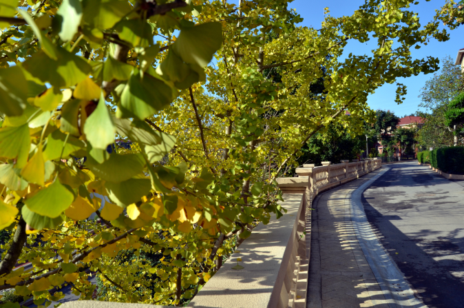 2015,荆门最美的秋色在哪儿?