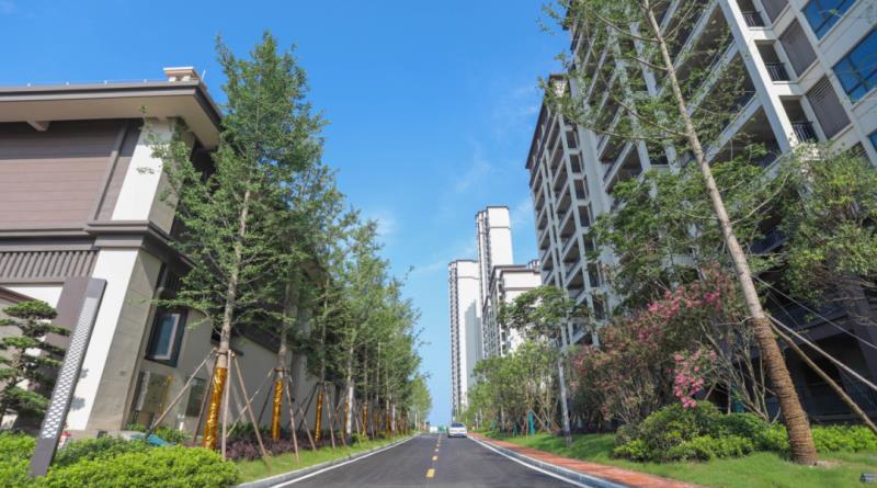 洋丰·凤凰香醍丨10月家书至,美好渐入"家"境!