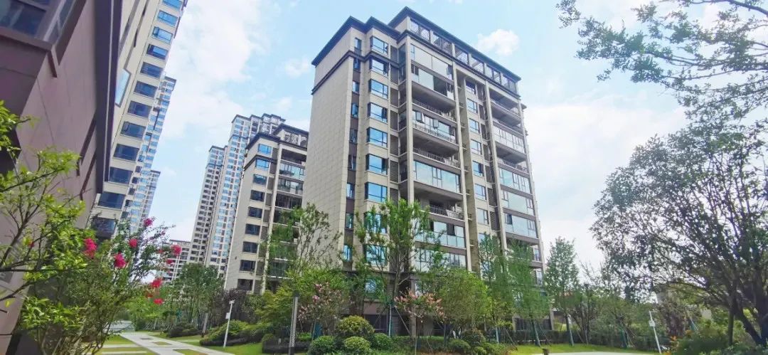 洋丰·凤凰香醍7月家书 | 夏日光景长,美好有归期