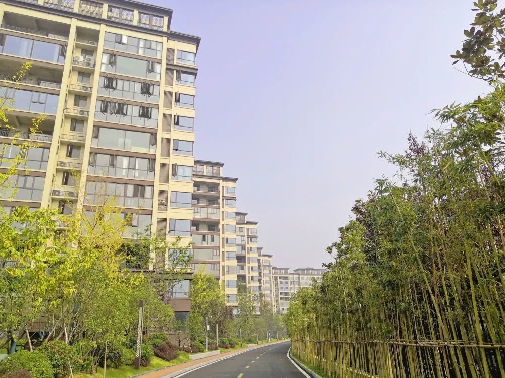 c区小高层&洋房