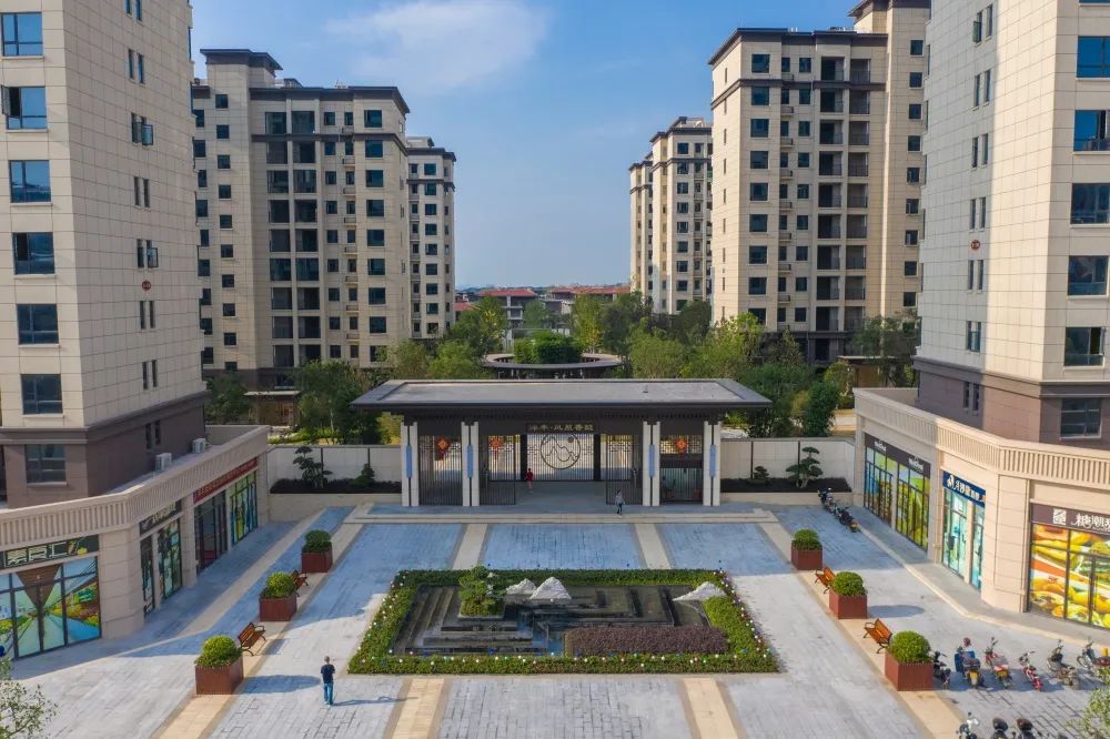 秋风知凉意,家音暖人心|洋丰·凤凰香醍10月家书奉上