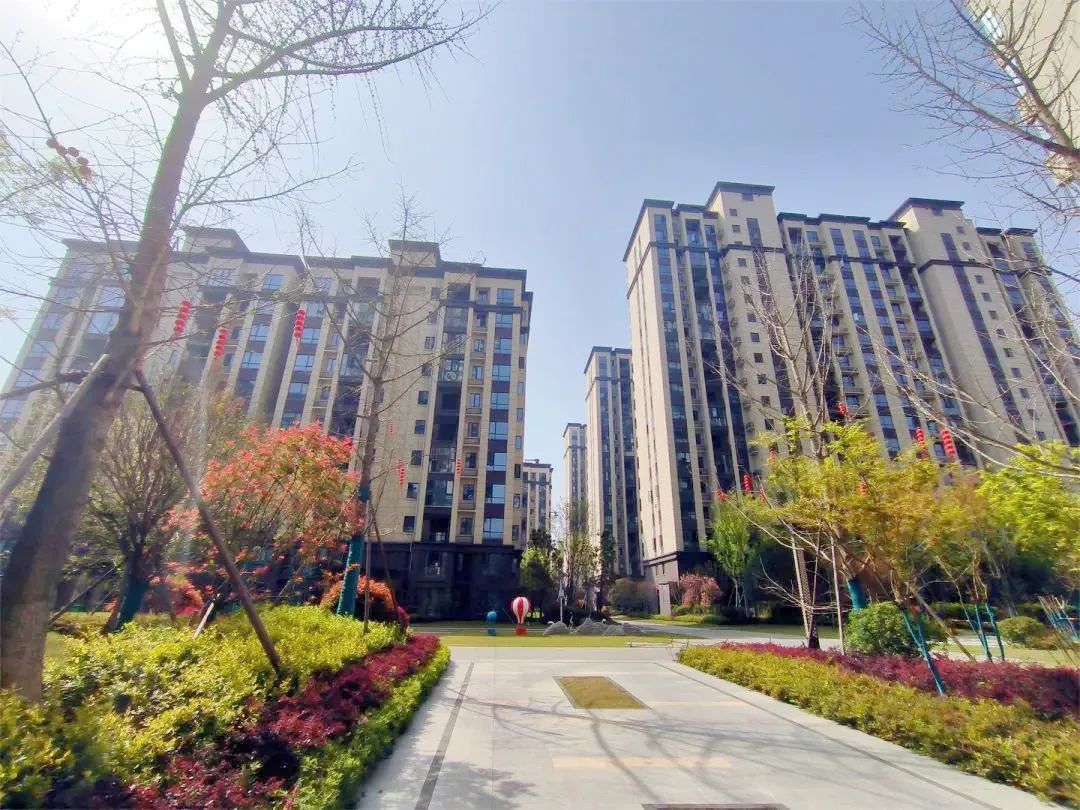 洋丰凤凰香醍3月工程进度家书寄真情美好如期至